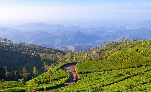 5 day Sri Lanka Classic Journey tour in Haputale