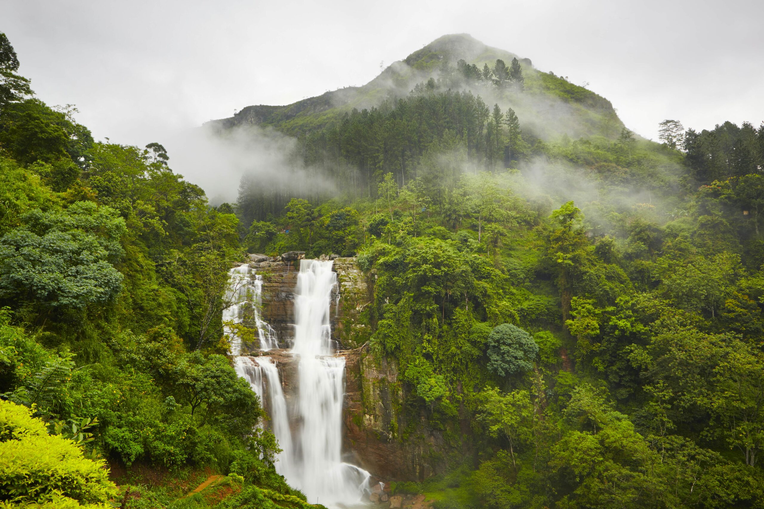 10 day Grand Sri Lanka Tour in Nuwara Eliya