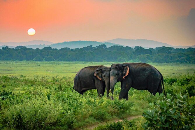 14 day Complete Island Experience tour in Udawalawe